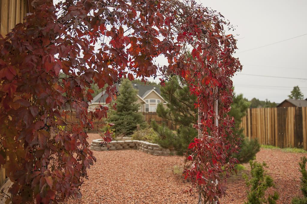 Grand Canyon Bed And Breakfast Williams Exterior foto